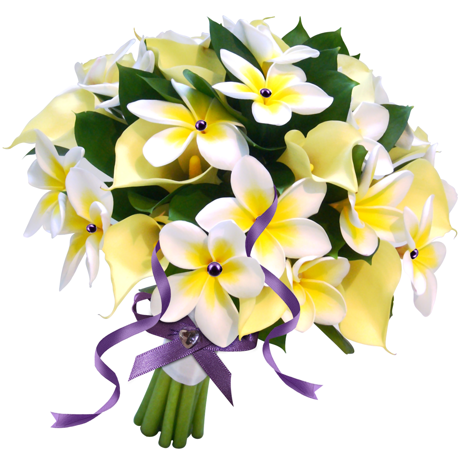 Flowers Transparent Images Varanasi Best (18) Varanasi Best Images