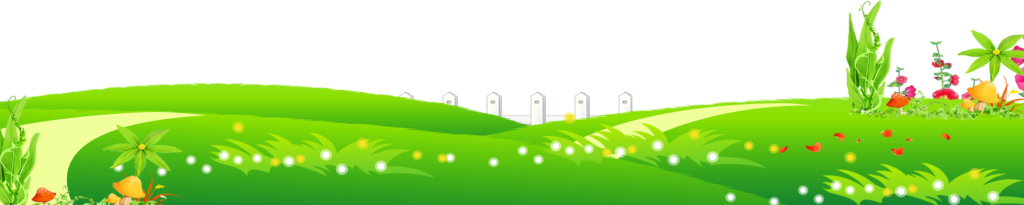 Grass