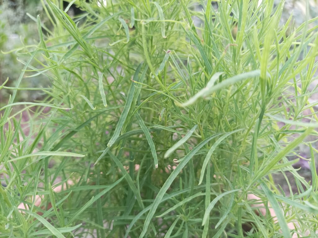 IMG 20230520 181912 scaled