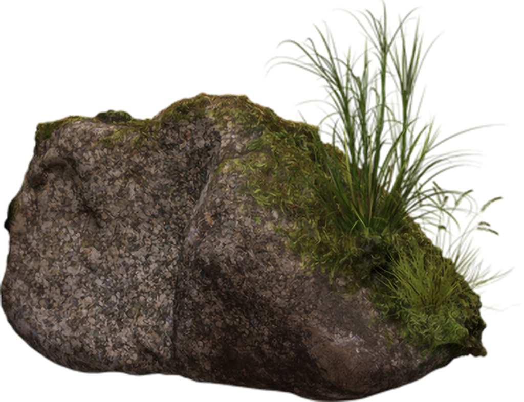Stone