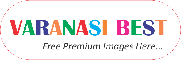 Varanasi Best Rounded Rectangle Logo